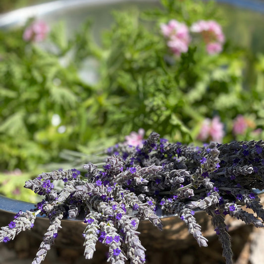Soothing Nervous System (Alcohol-Free)