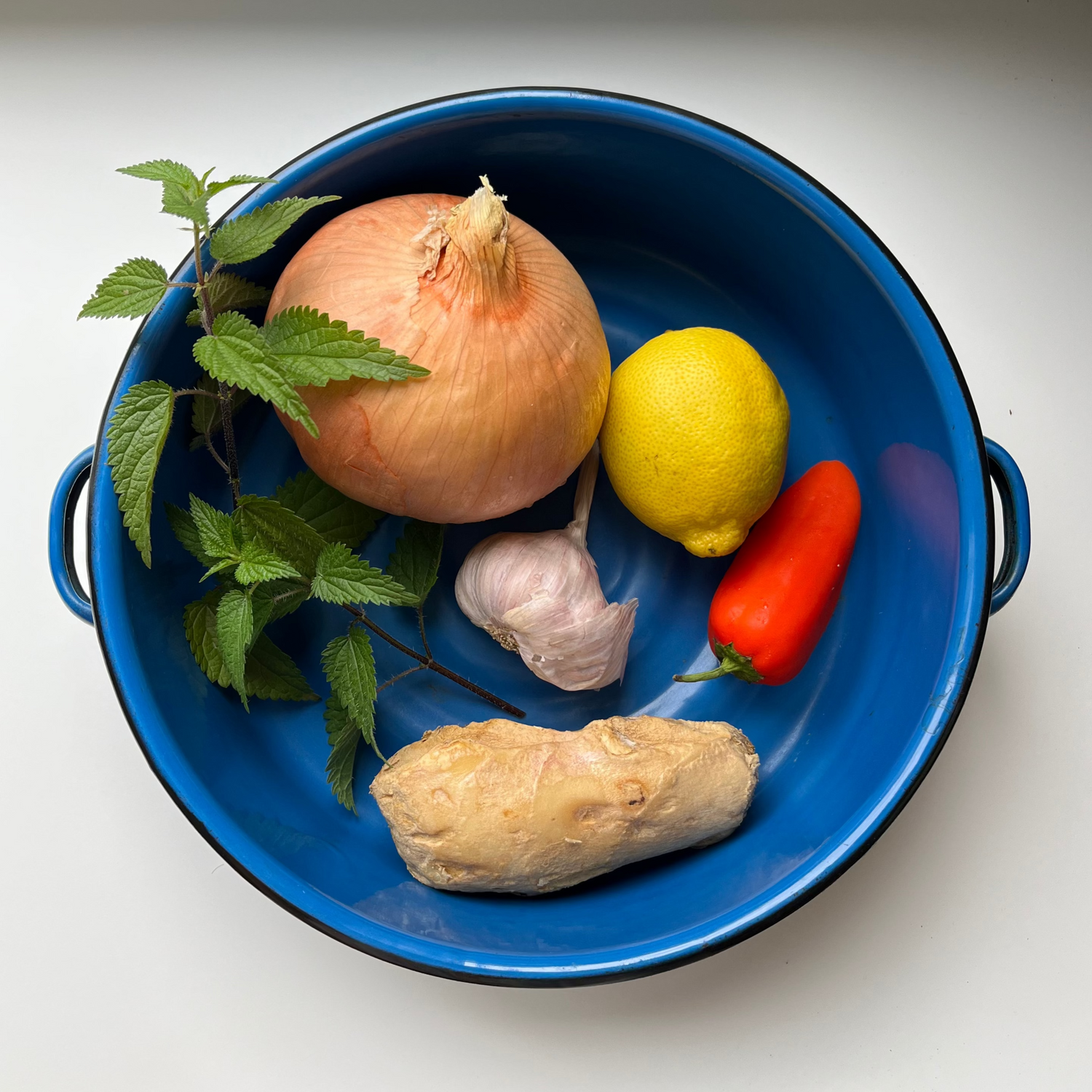 blue pot with ginger, onion, lemon, pepper, garlic, and nettle