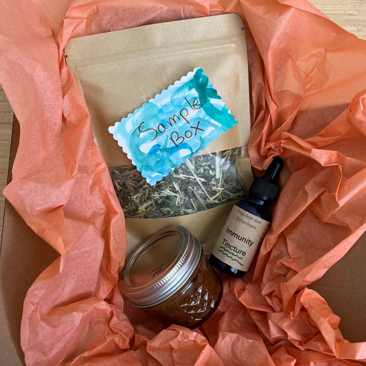 Back to School Box